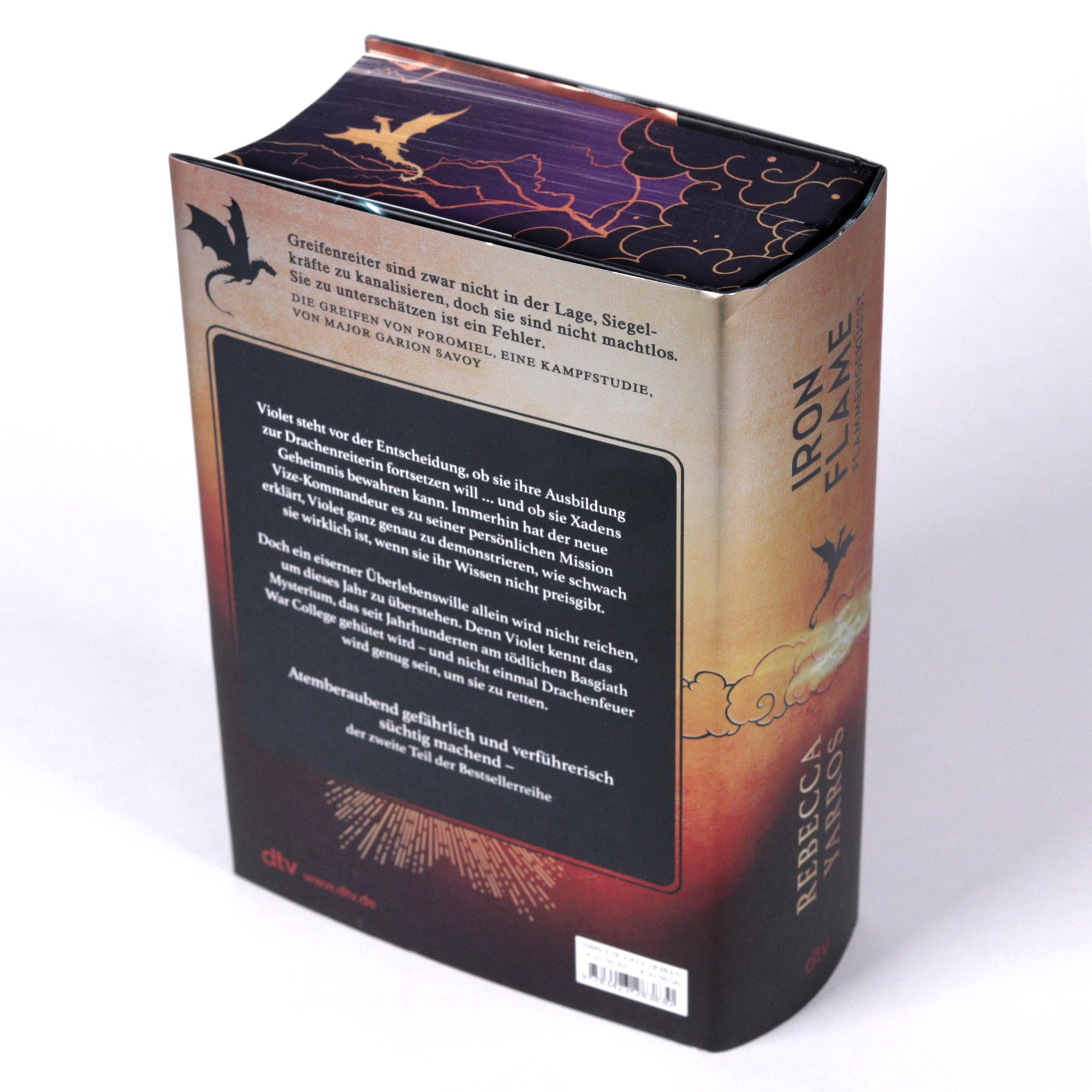 Beispielinhalt (Bild) Iron Flame - Flammengeküsst