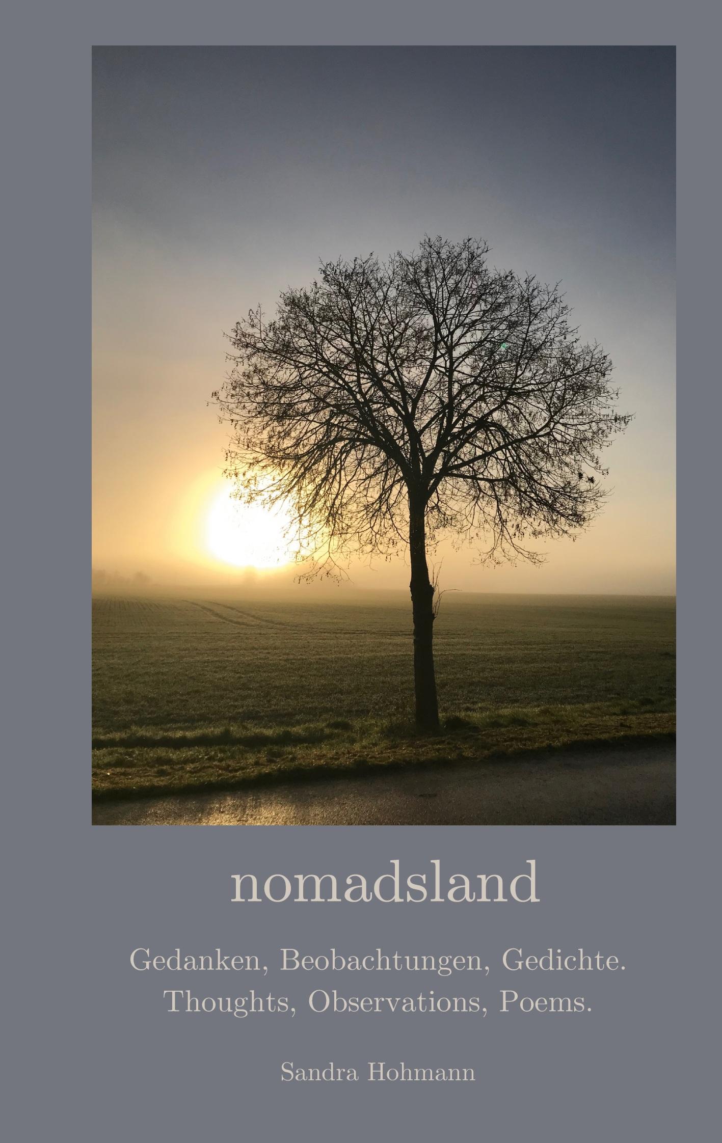 Vorderes Coverbild nomadsland