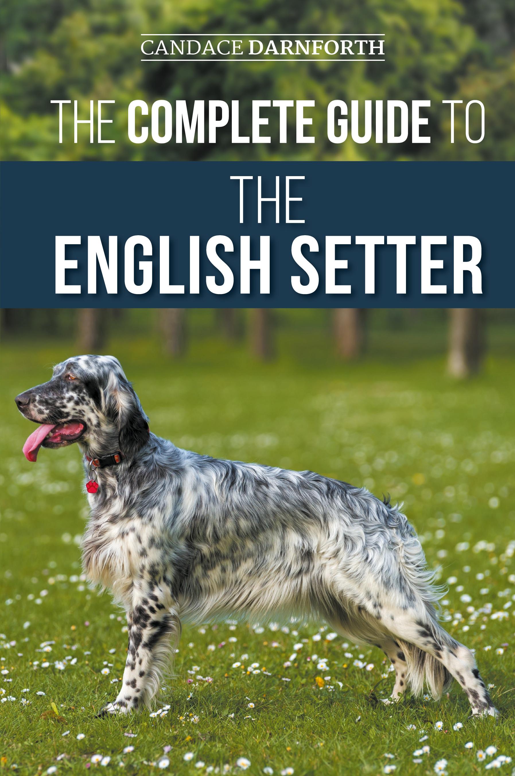 Vorderes Coverbild The Complete Guide to the English Setter
