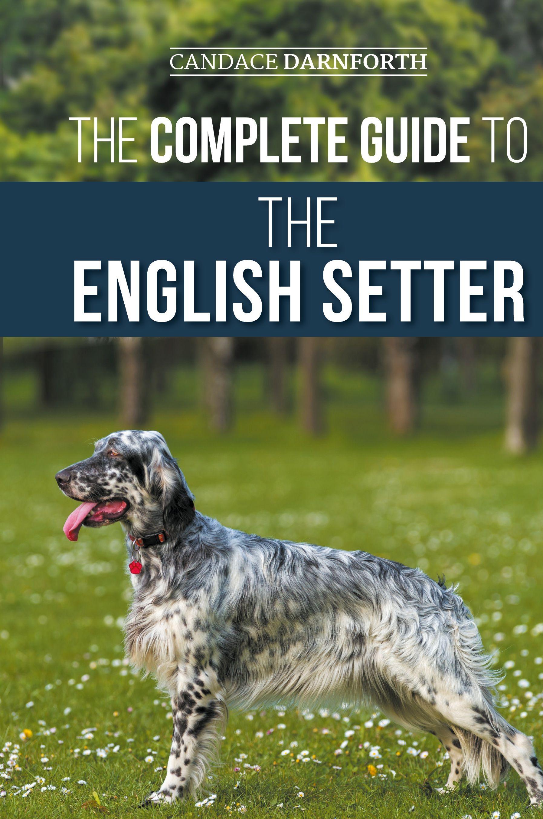 Vorderes Coverbild The Complete Guide to the English Setter