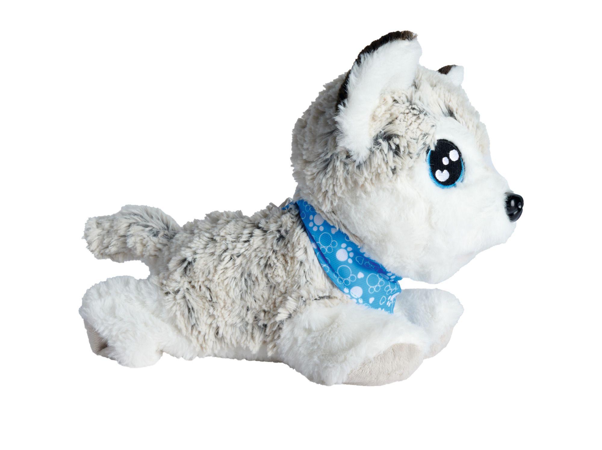 Beispielinhalt (Bild) CCL Happy Husky