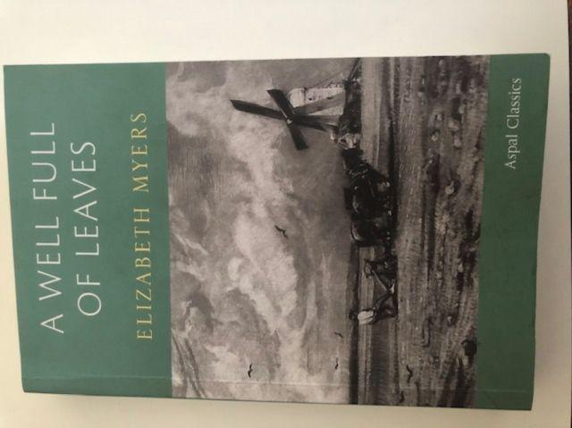 Vorderes Coverbild A Well Full of Leaves