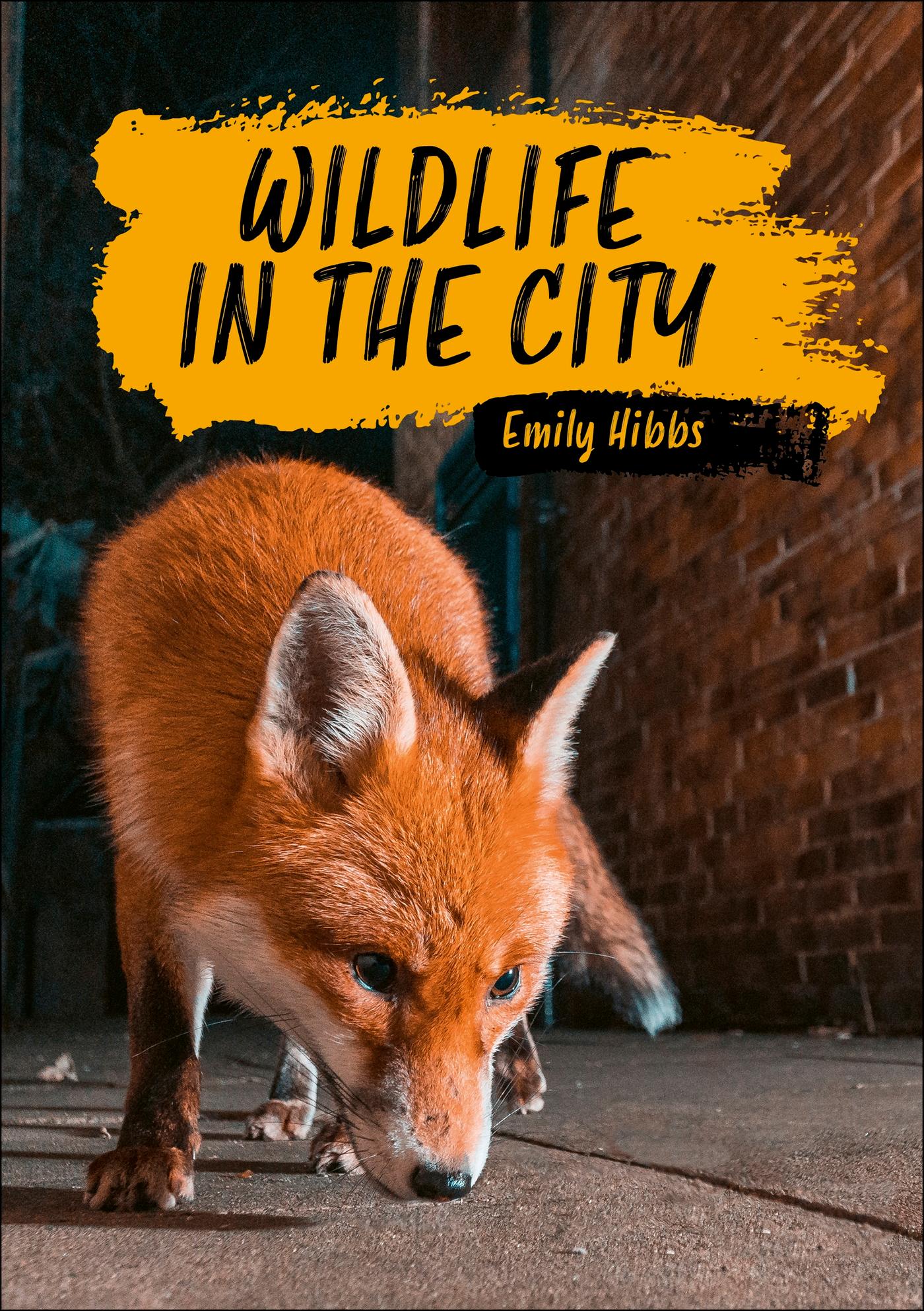 Vorderes Coverbild Reading Planet KS2: Wildlife in the City - Earth/Grey