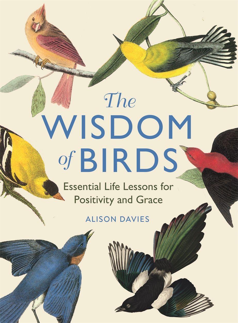 Vorderes Coverbild The Wisdom of Birds