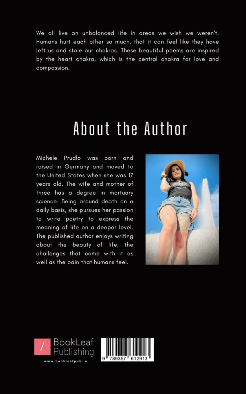 Rückseitencover You Took My Chakras