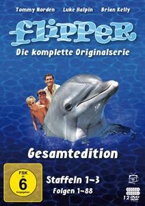 Vorderes Coverbild Flipper