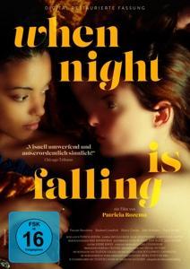 Vorderes Coverbild When Night Is Falling