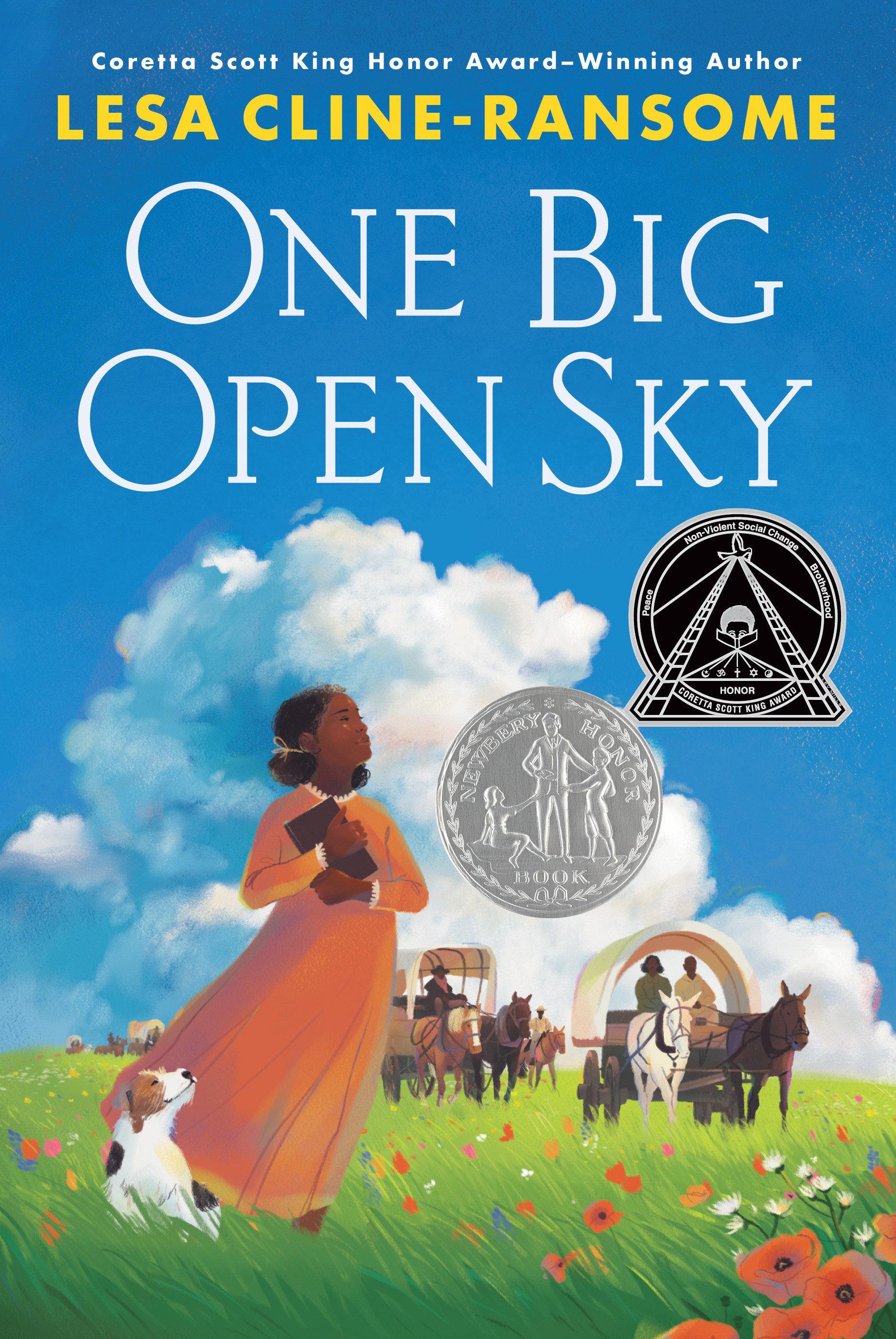 Vorderes Coverbild One Big Open Sky