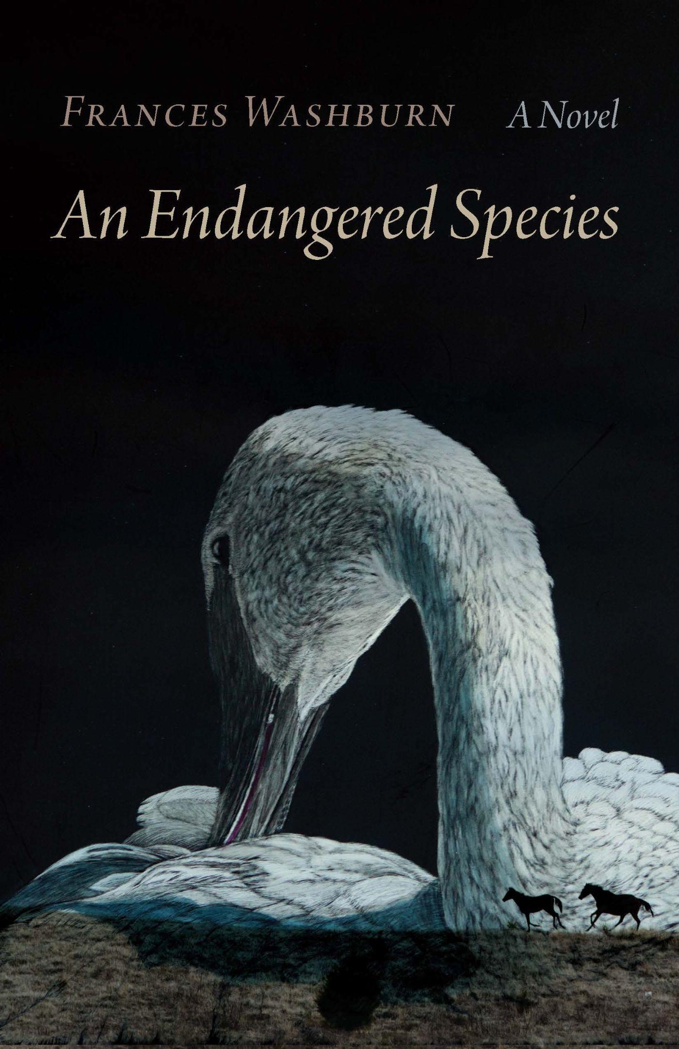 Vorderes Coverbild An Endangered Species