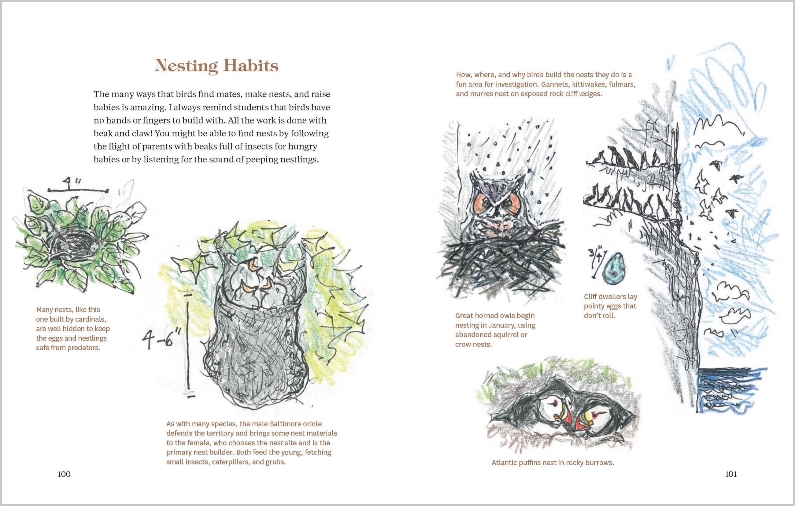 Beispielinhalt (Bild) How to Look at a Bird