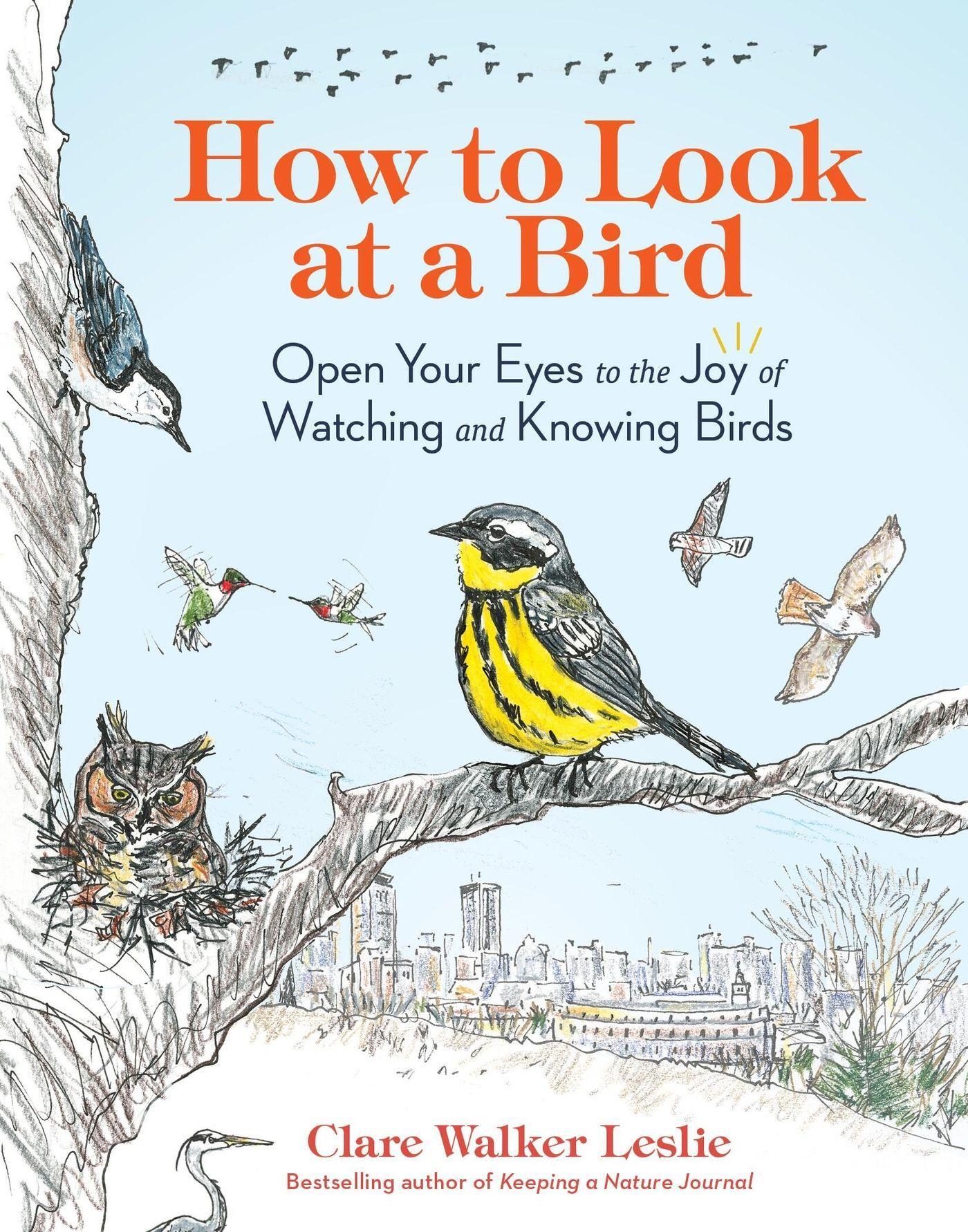 Vorderes Coverbild How to Look at a Bird