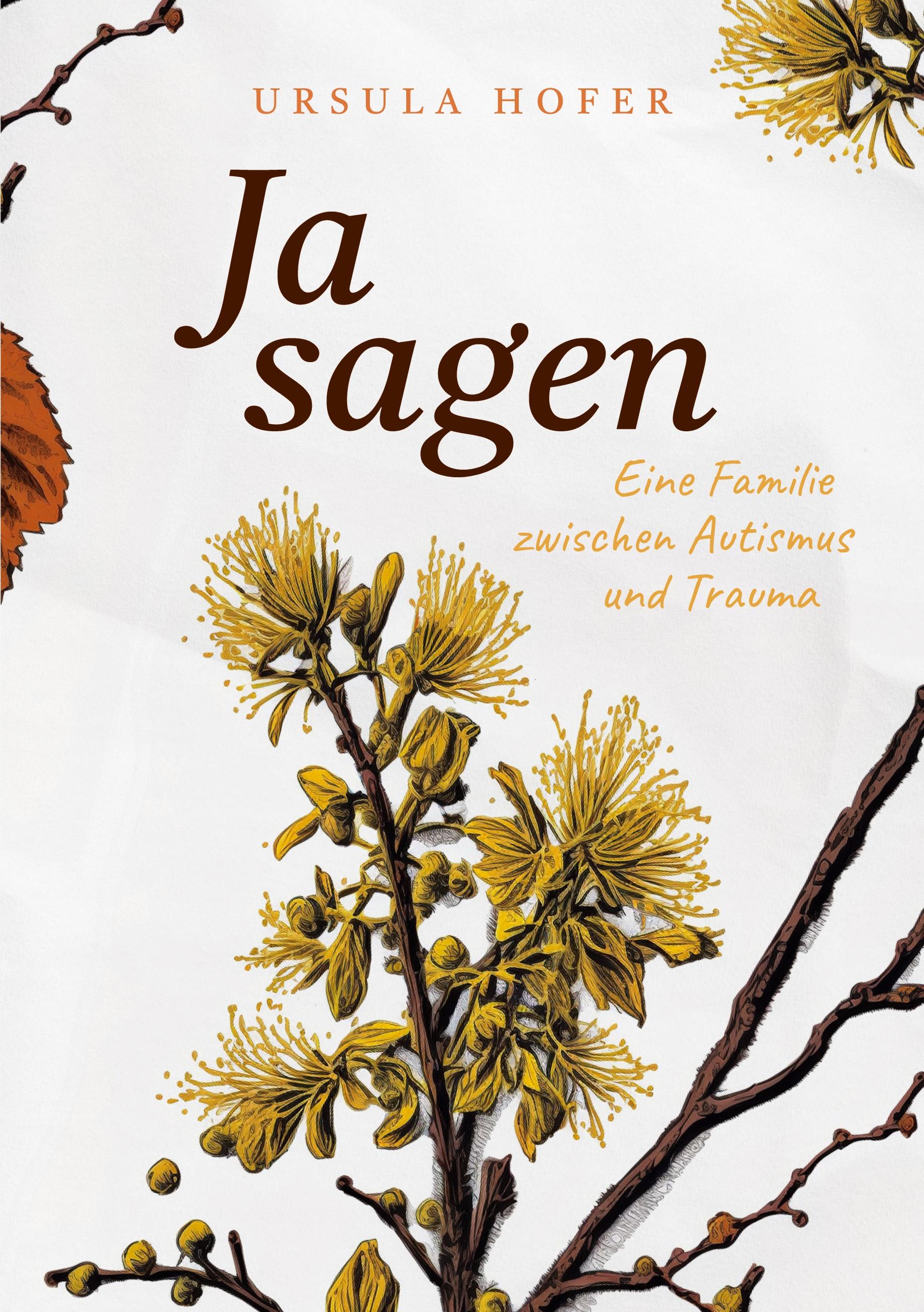 Vorderes Coverbild Ja sagen