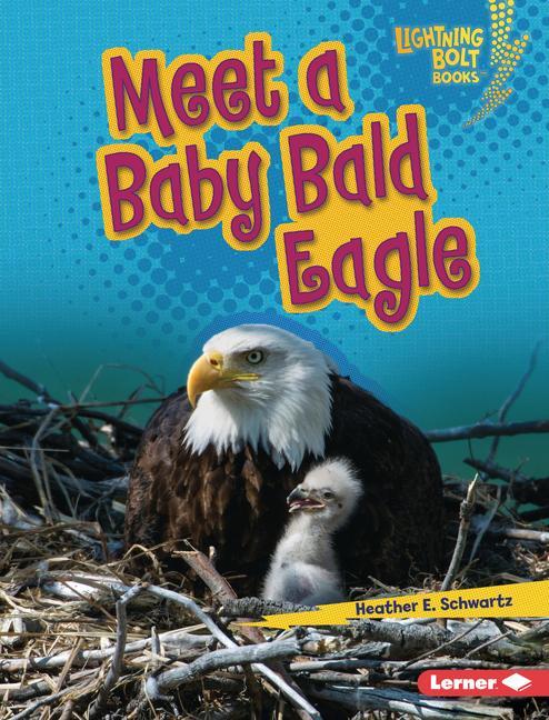 Vorderes Coverbild Meet a Baby Bald Eagle