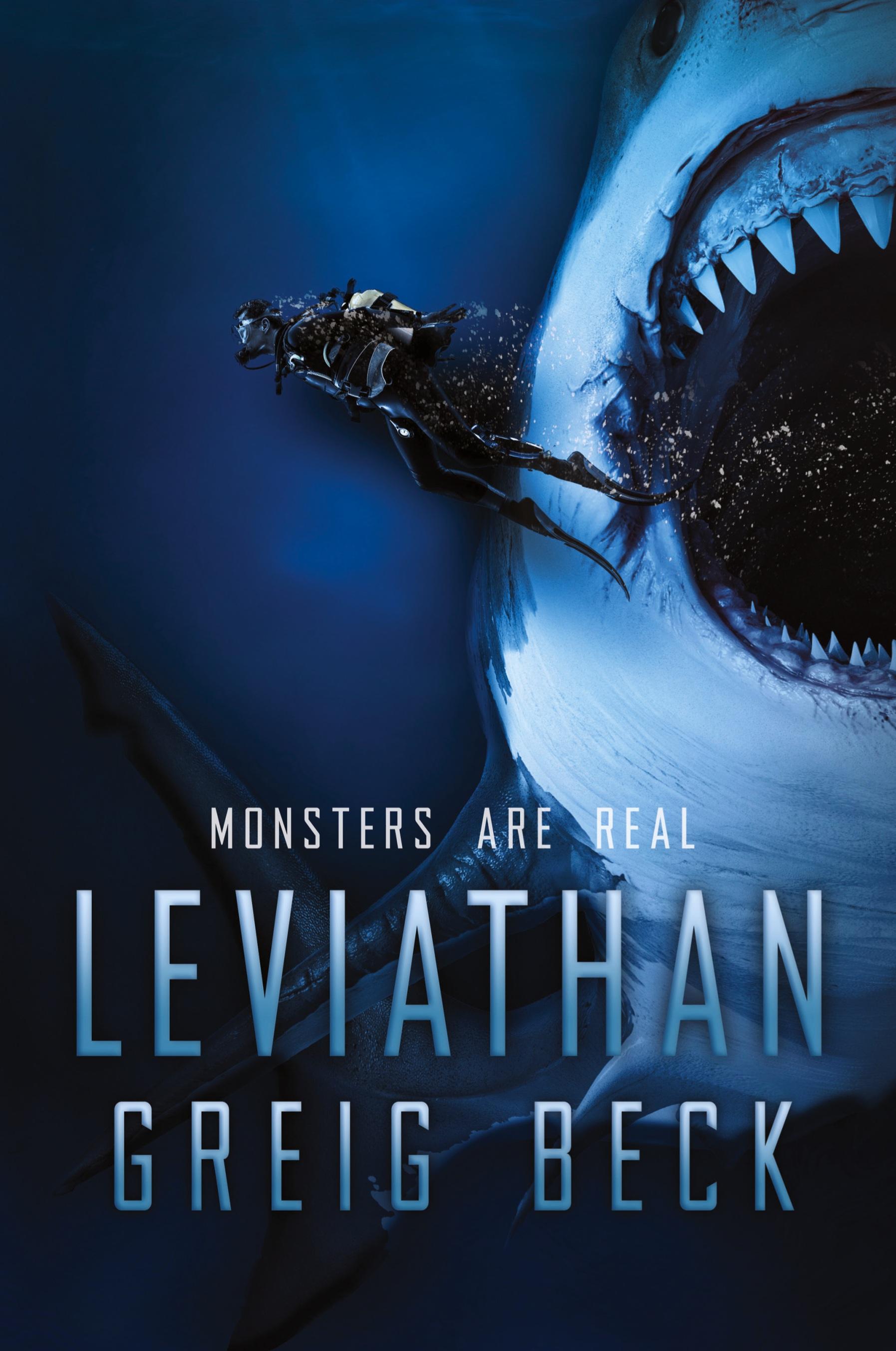 Vorderes Coverbild Leviathan