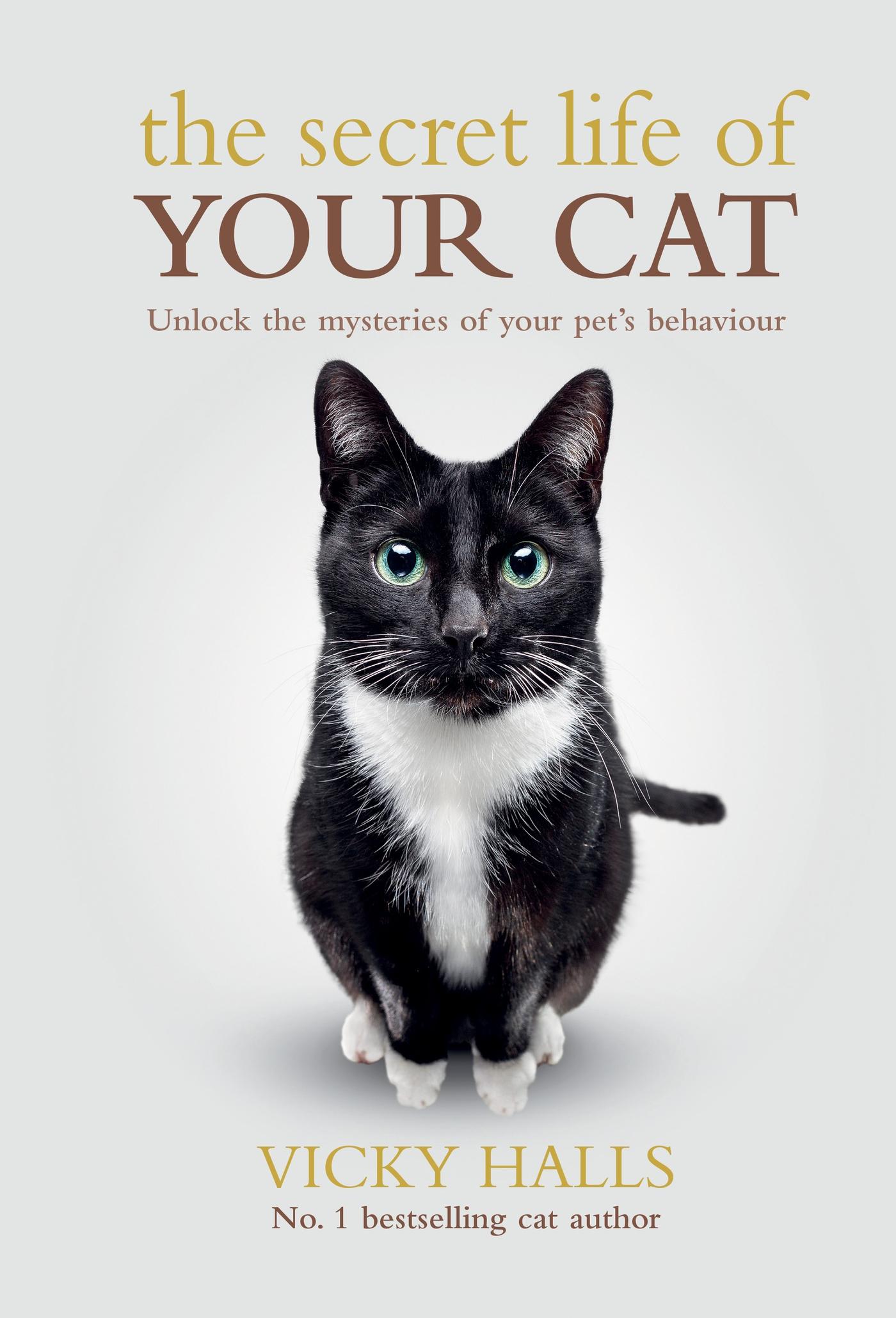 Vorderes Coverbild The Secret Life of Your Cat