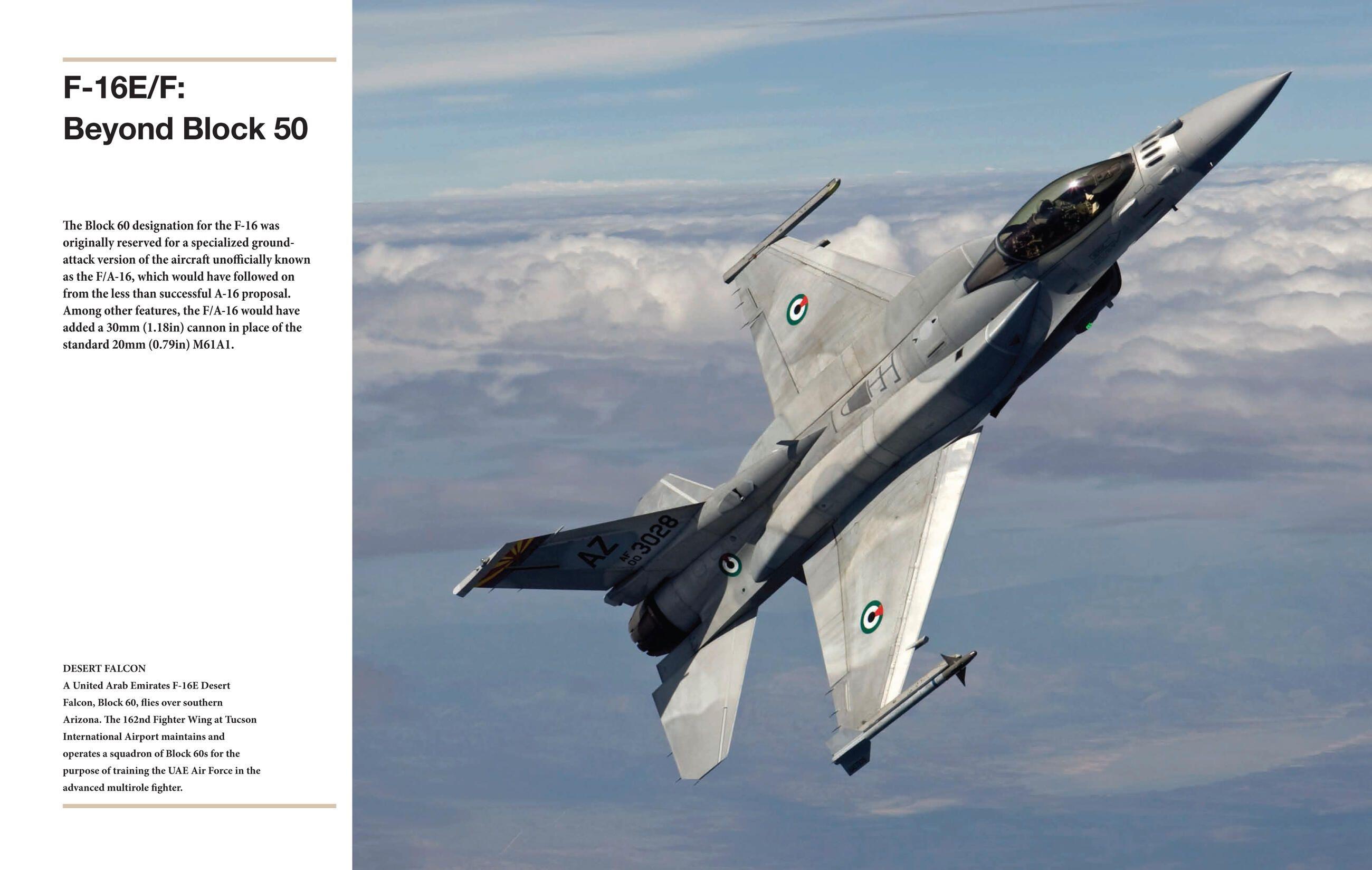 Beispielinhalt (Bild) F-16 Fighting Falcon