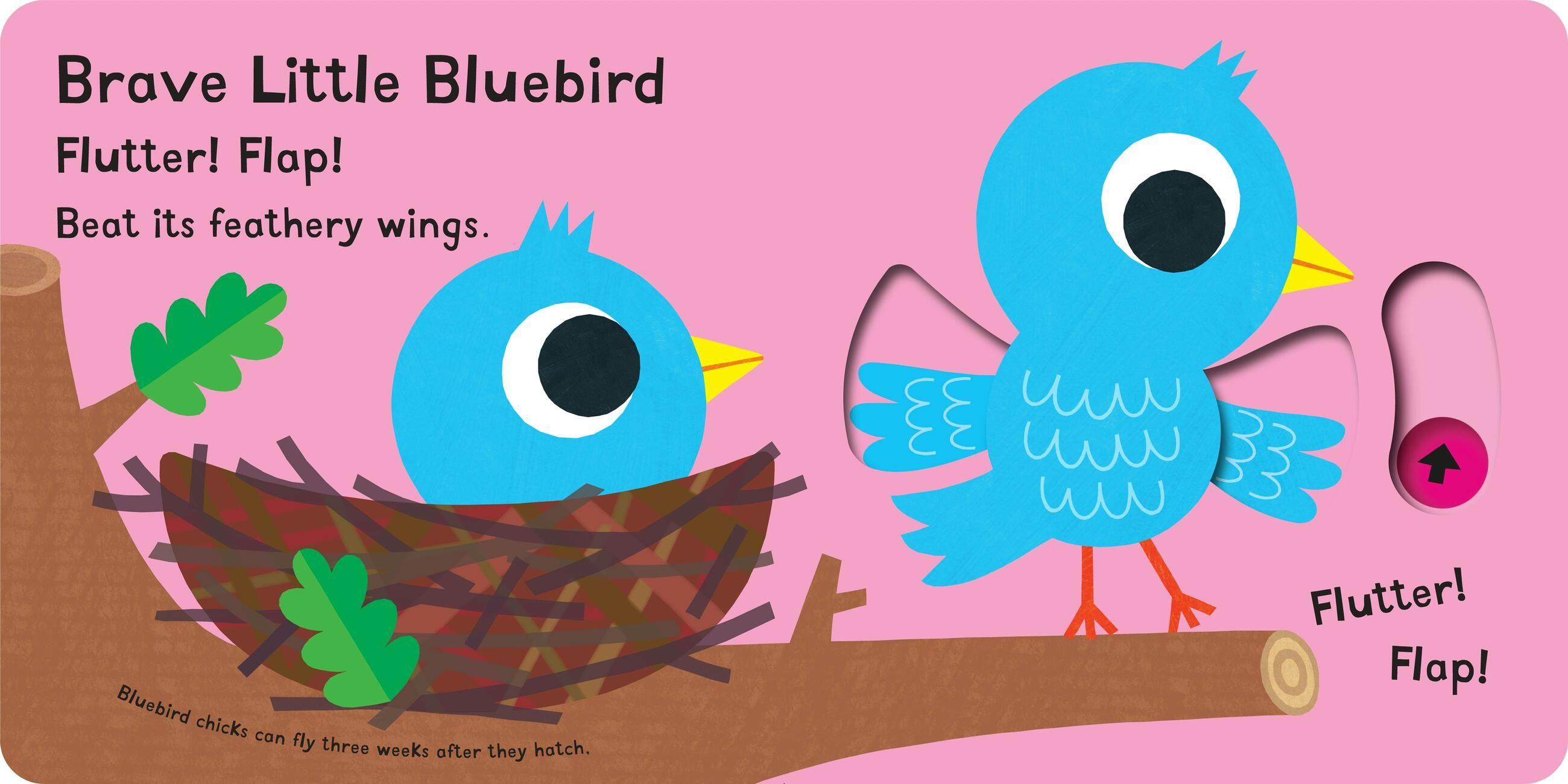 Beispielinhalt (Bild) Chirp! Chirp! I'm a Chick!