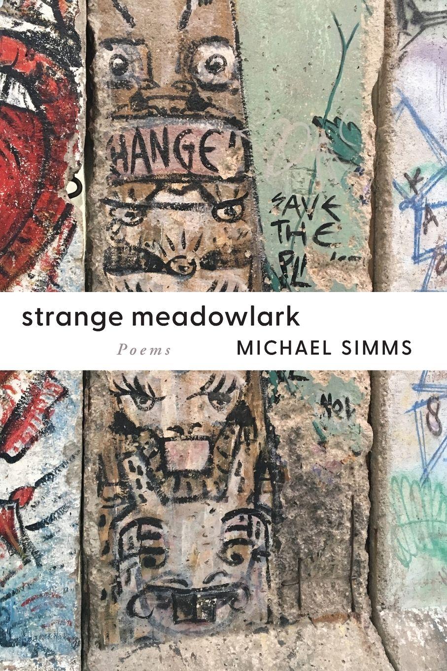 Vorderes Coverbild Strange Meadowlark