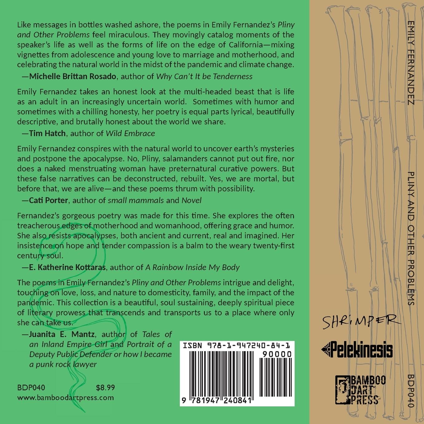 Rückseitencover Pliny and Other Problems