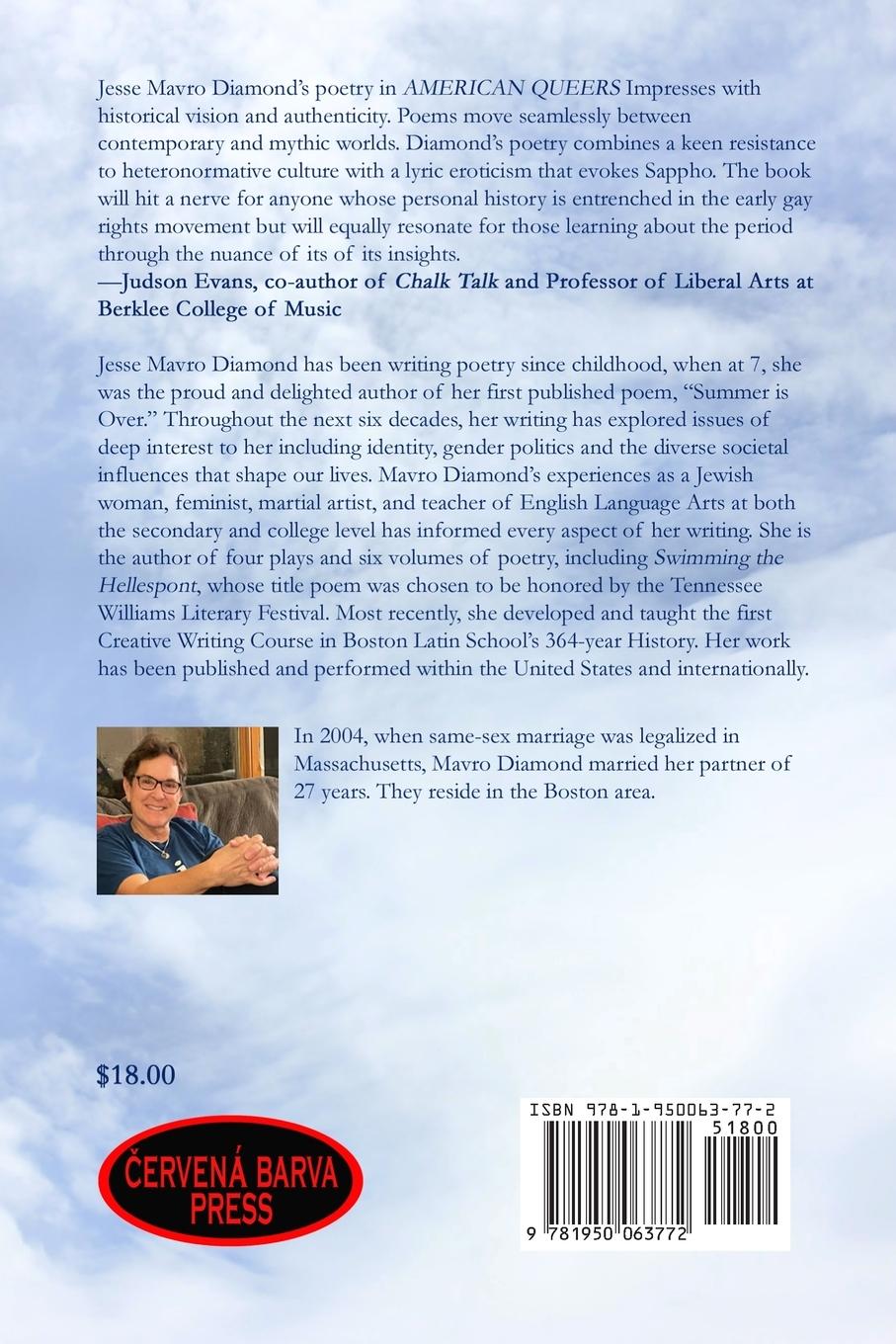 Rückseitencover American Queers