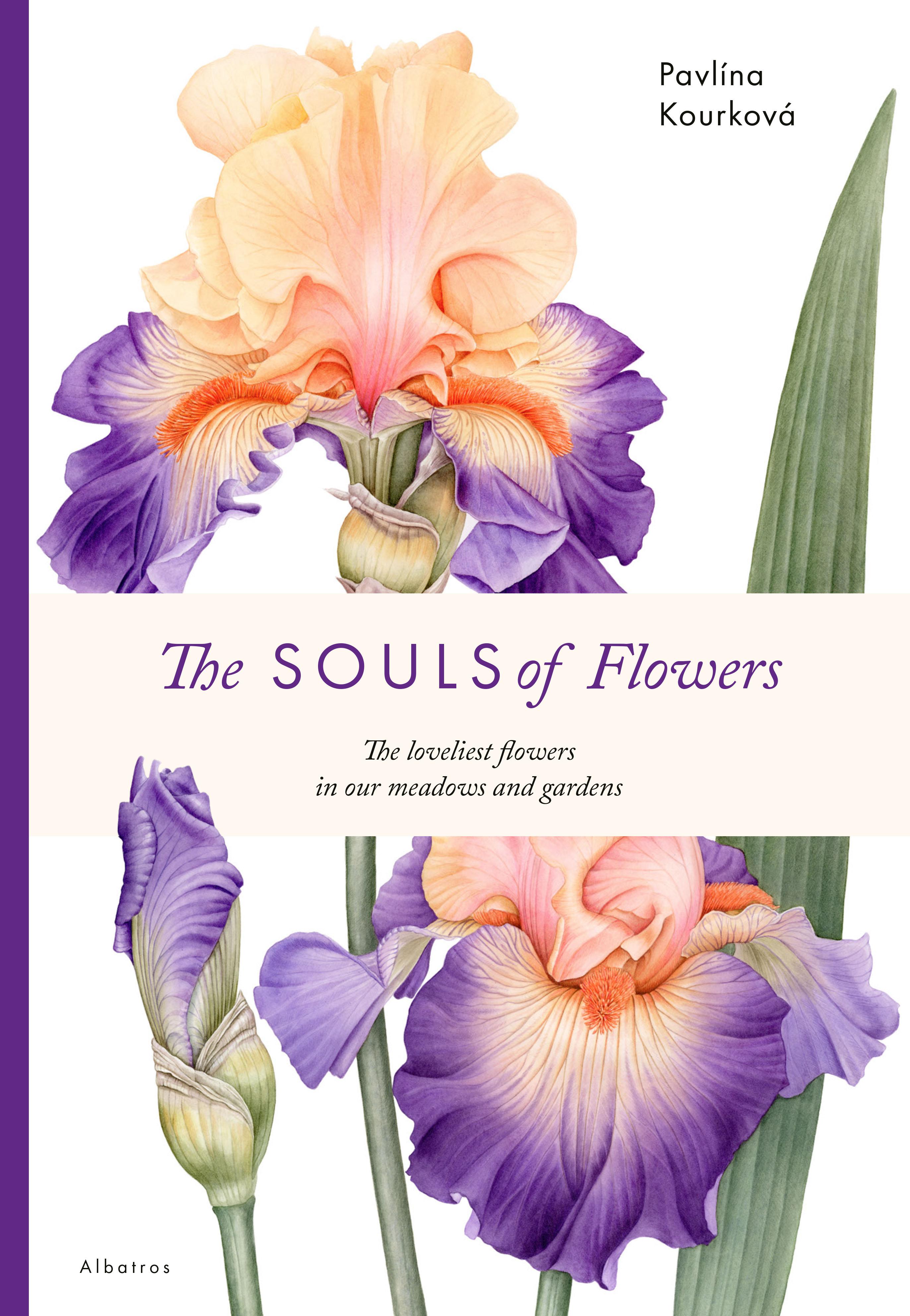 Vorderes Coverbild The Souls of Flowers
