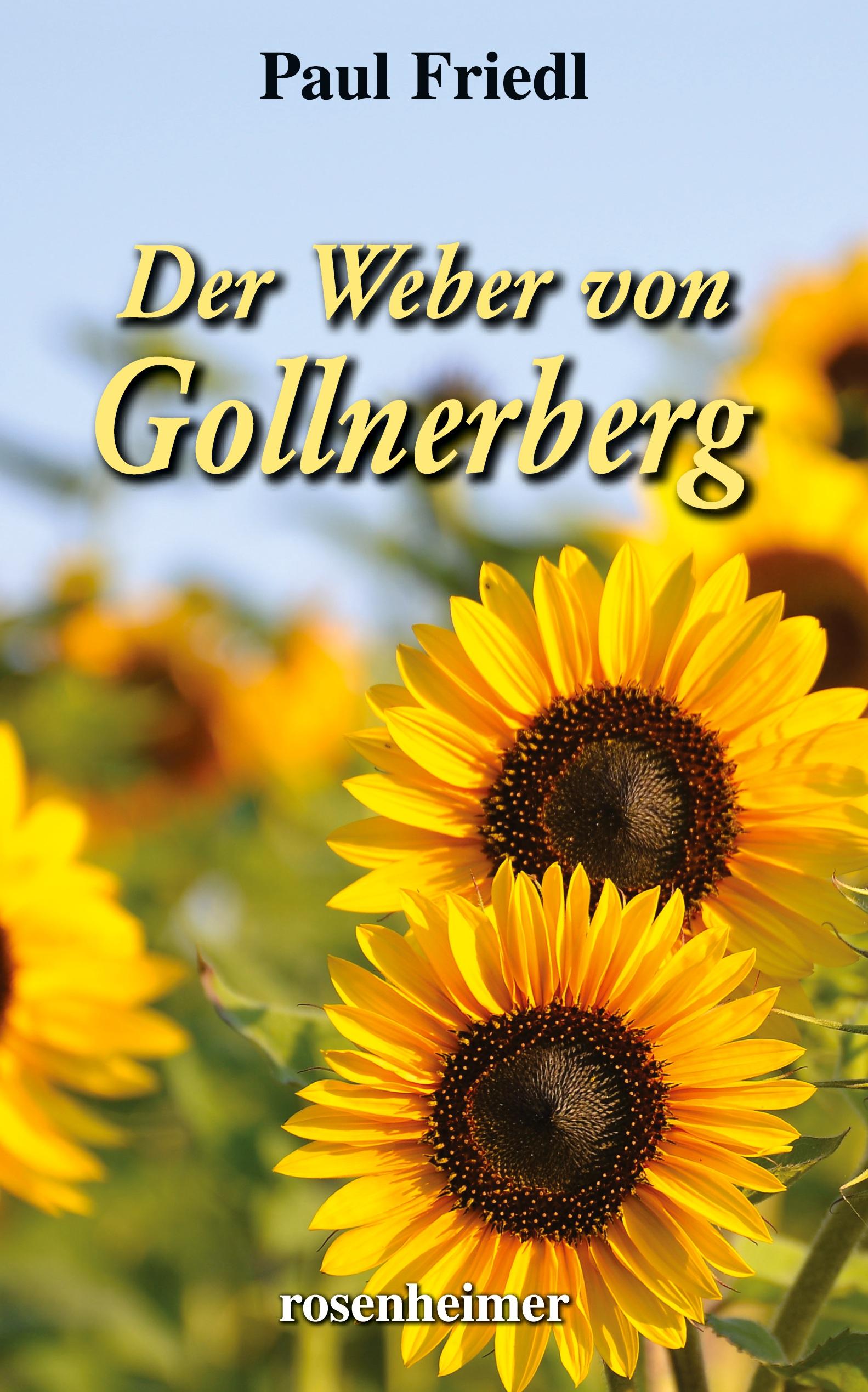 Vorderes Coverbild Der Weber von Gollnerberg