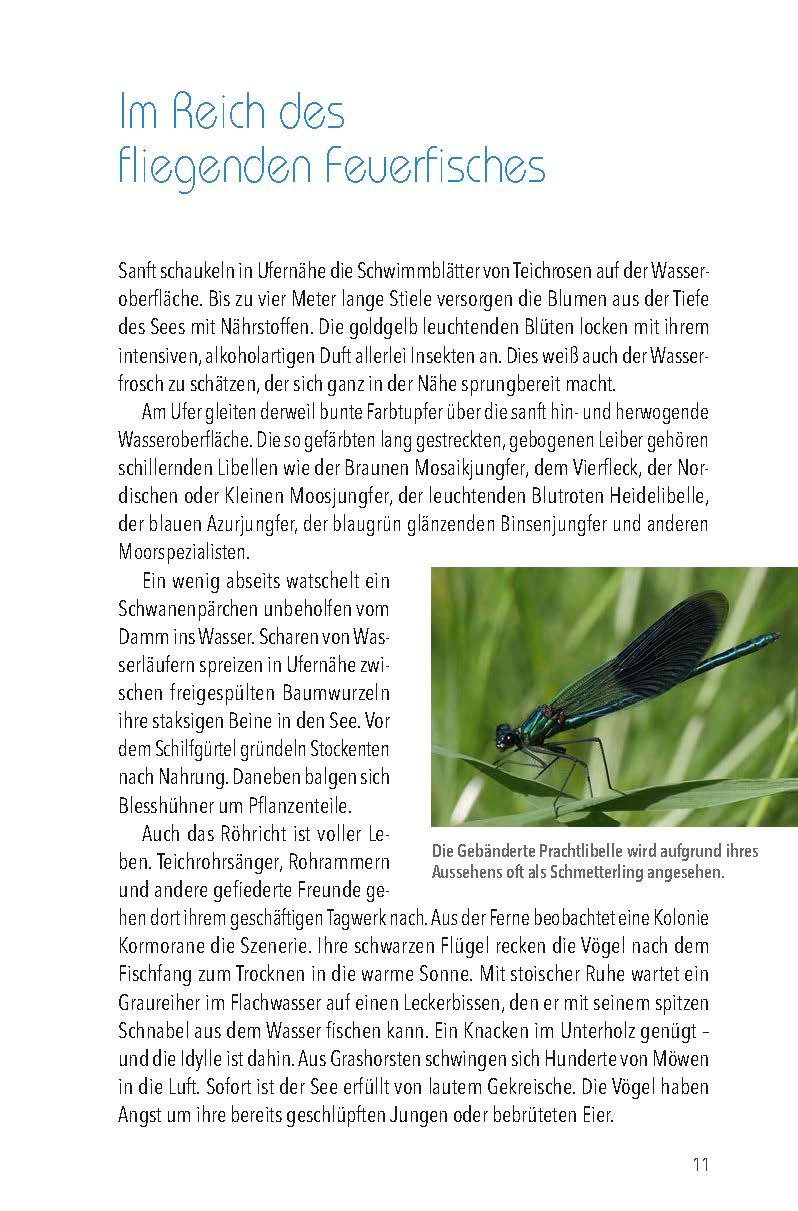 Beispielinhalt (Bild) Nördlicher Oberpfälzer Wald