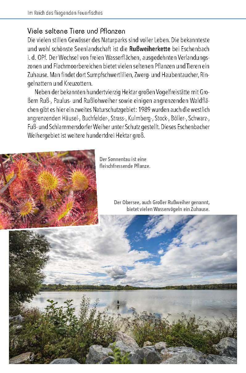 Beispielinhalt (Bild) Nördlicher Oberpfälzer Wald