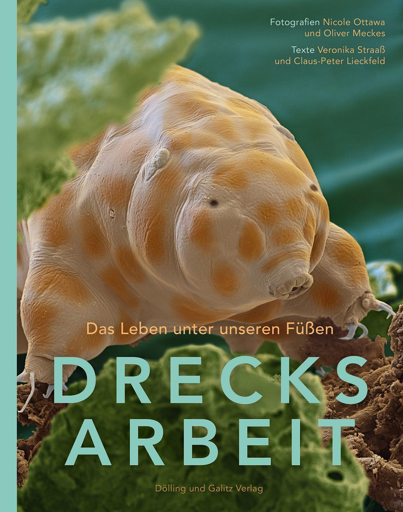 Vorderes Coverbild DRECKSARBEIT