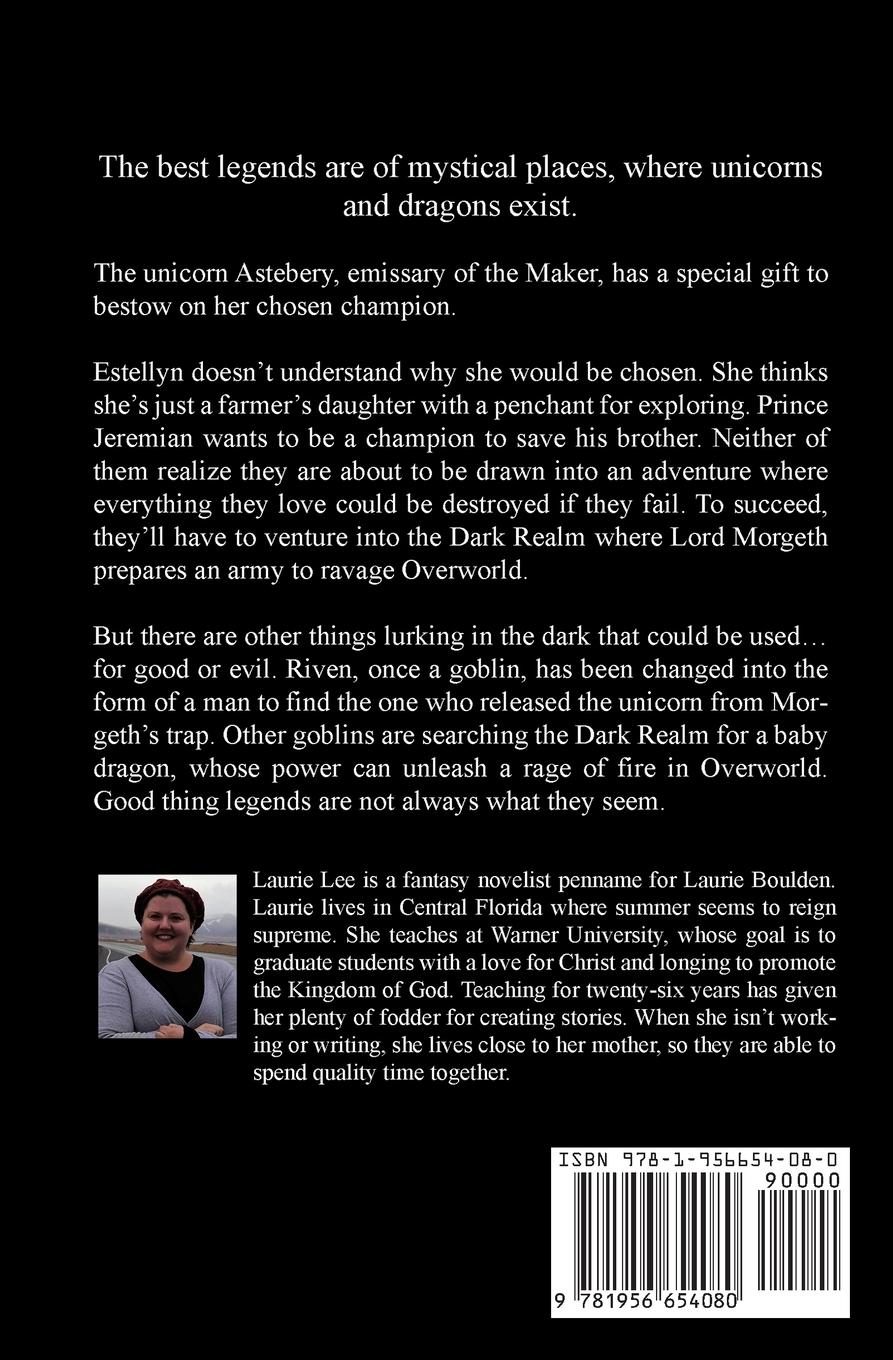 Rückseitencover Legends Within the Dark Realm