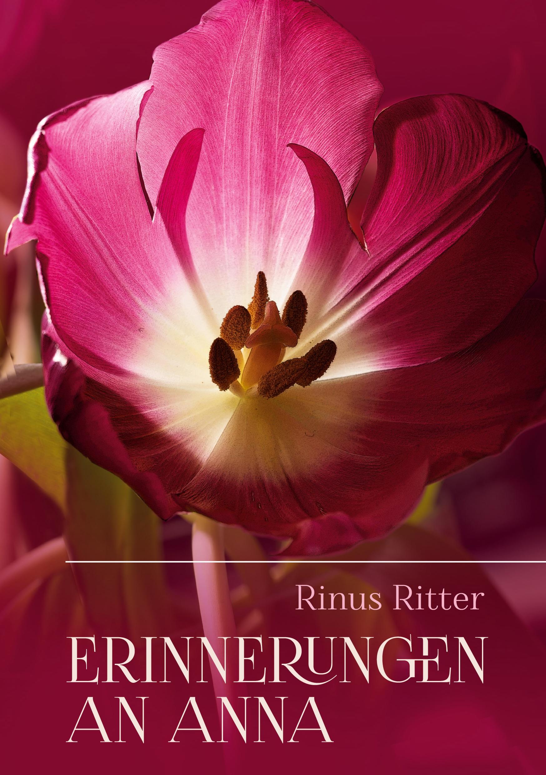 Vorderes Coverbild Erinnerungen an Anna