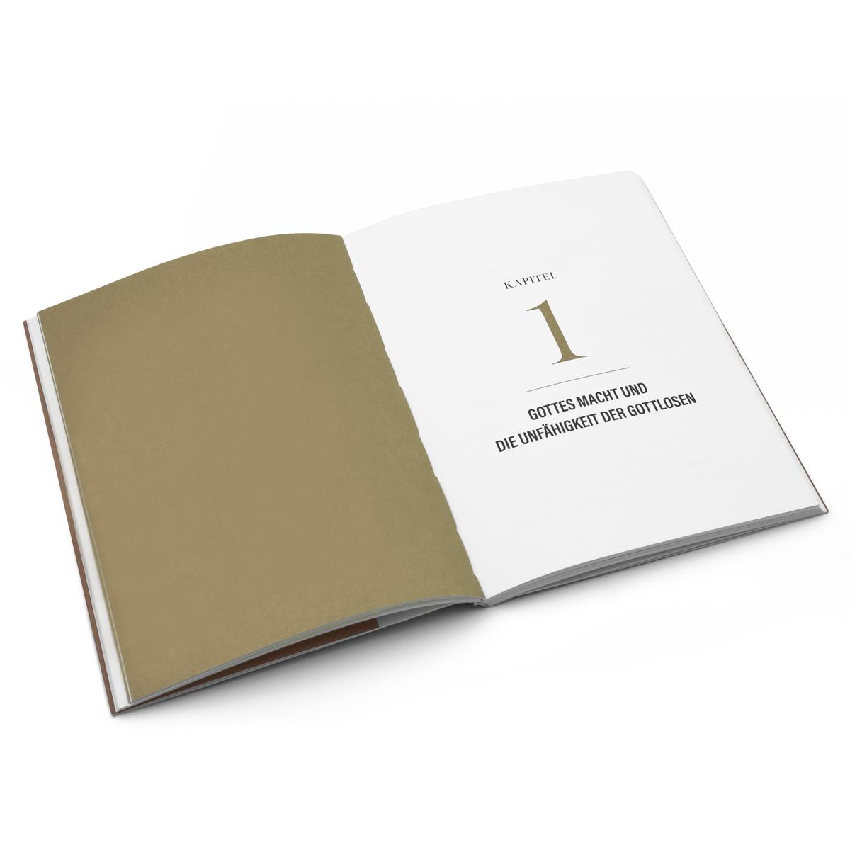 Beispielinhalt (Bild) Sünder in den Händen eines zornigen Gottes