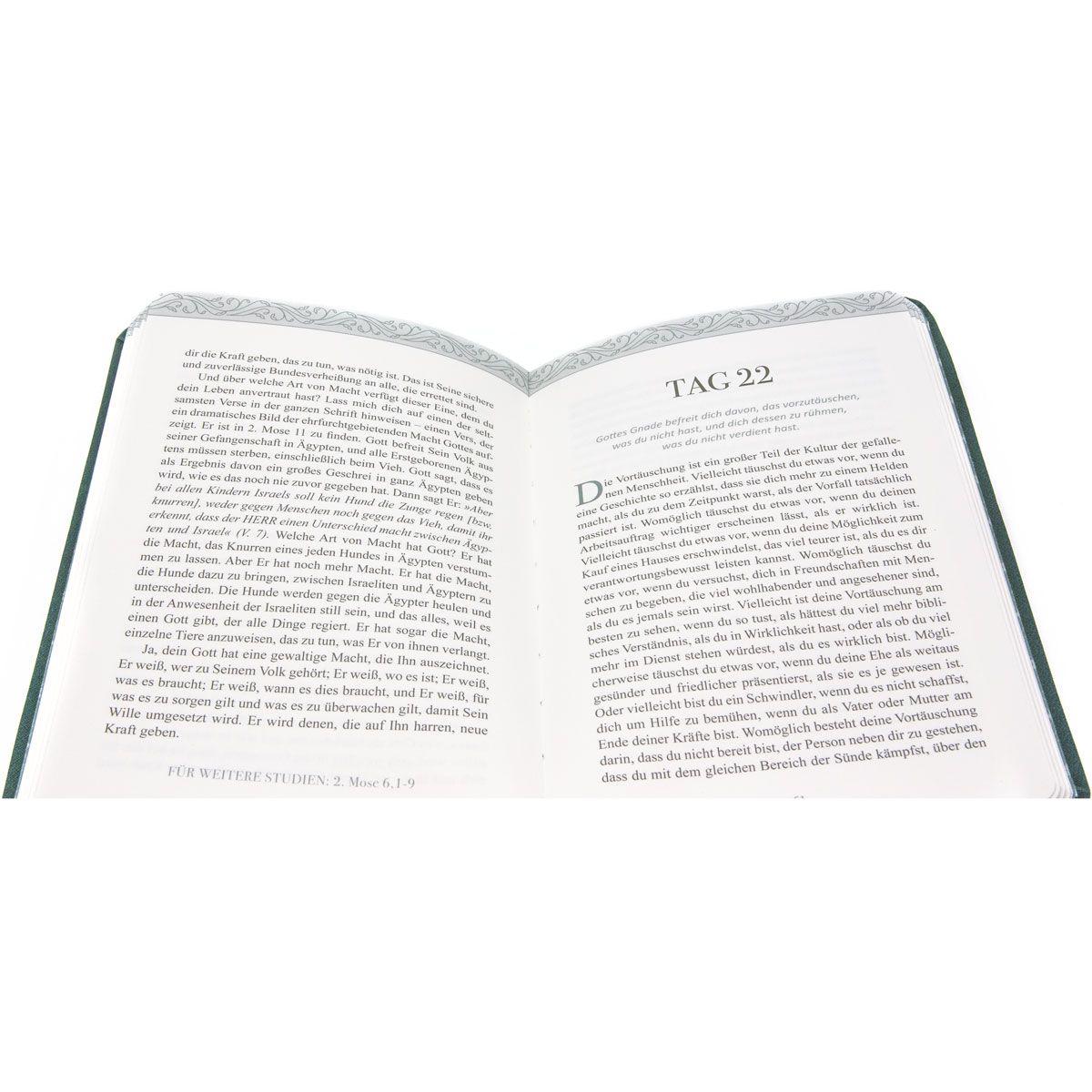 Beispielinhalt (Bild) 40 Tage der Gnade