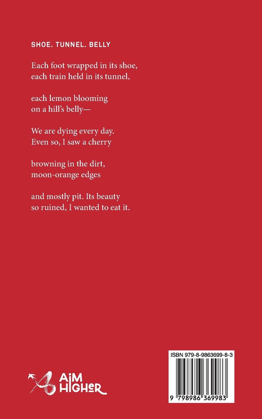 Rückseitencover The Whispering Wall