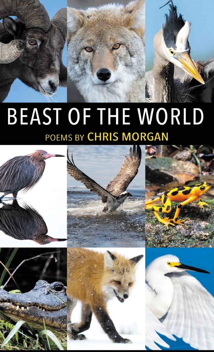 Vorderes Coverbild Beast of the World