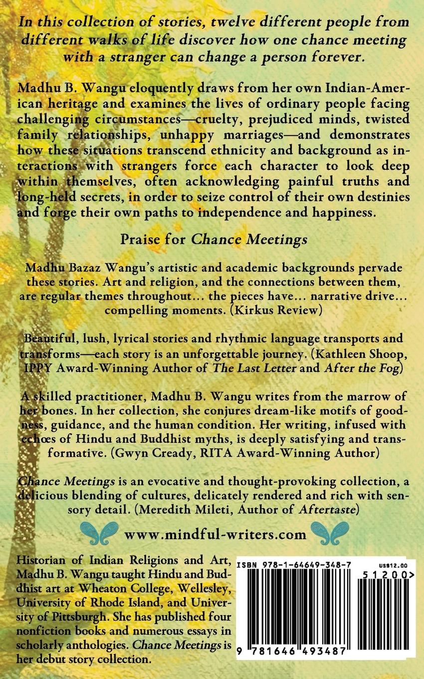 Rückseitencover Chance Meetings