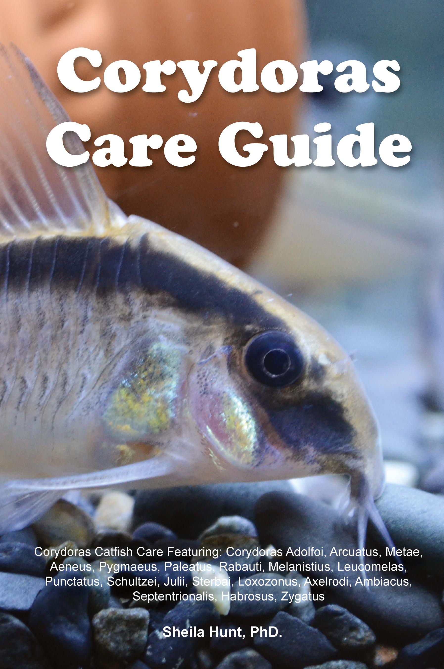 Vorderes Coverbild Corydoras Care Guide. Corydoras Catfish Care  Featuring