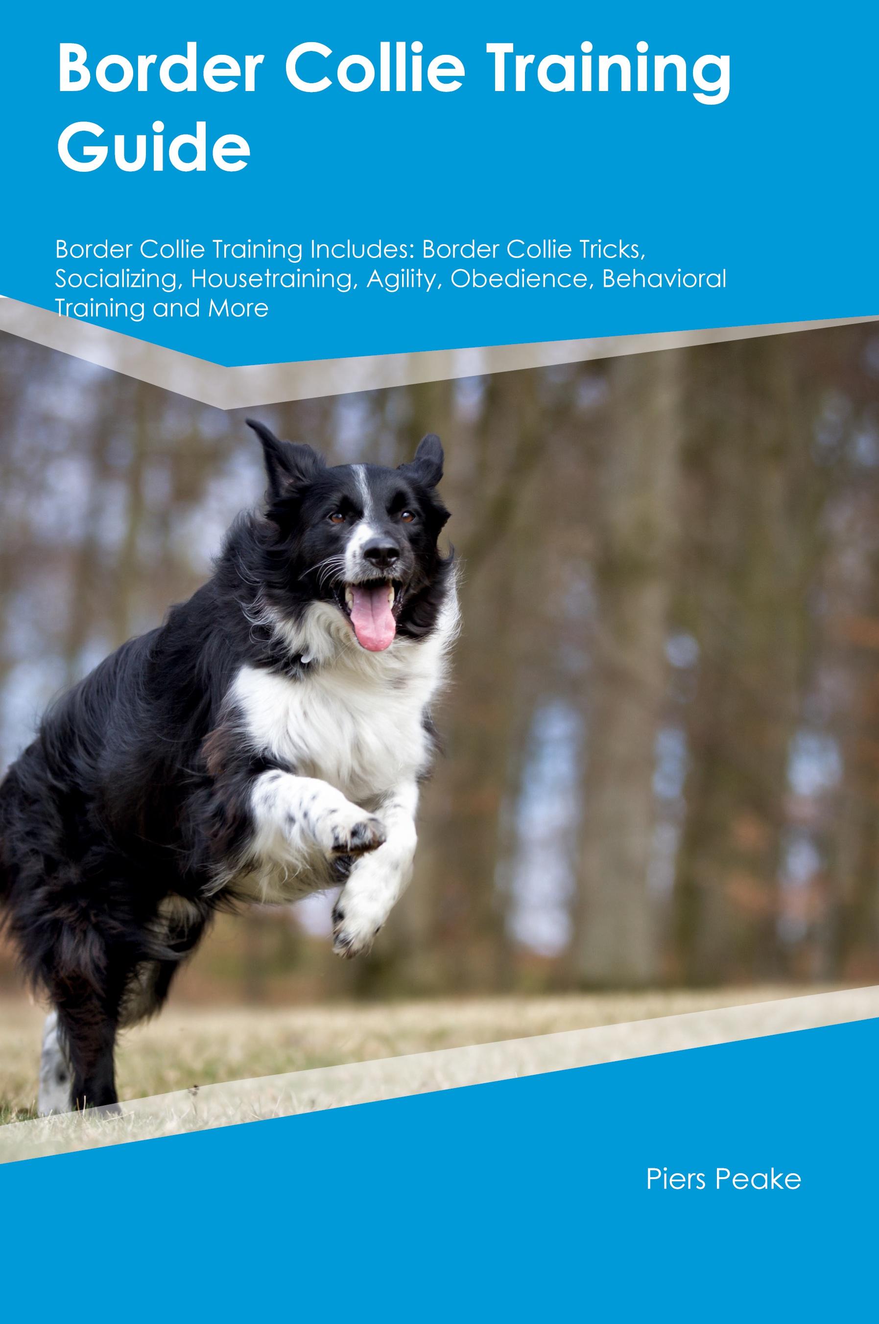 Vorderes Coverbild Border Collie Training Guide  Border Collie Training Includes