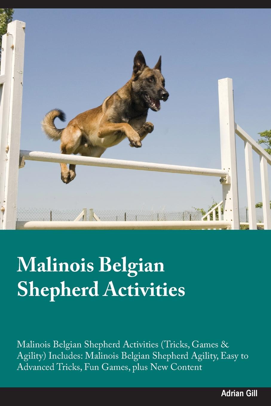 Vorderes Coverbild Malinois Belgian Shepherd Activities Malinois Belgian Shepherd Activities (Tricks, Games & Agility) Includes