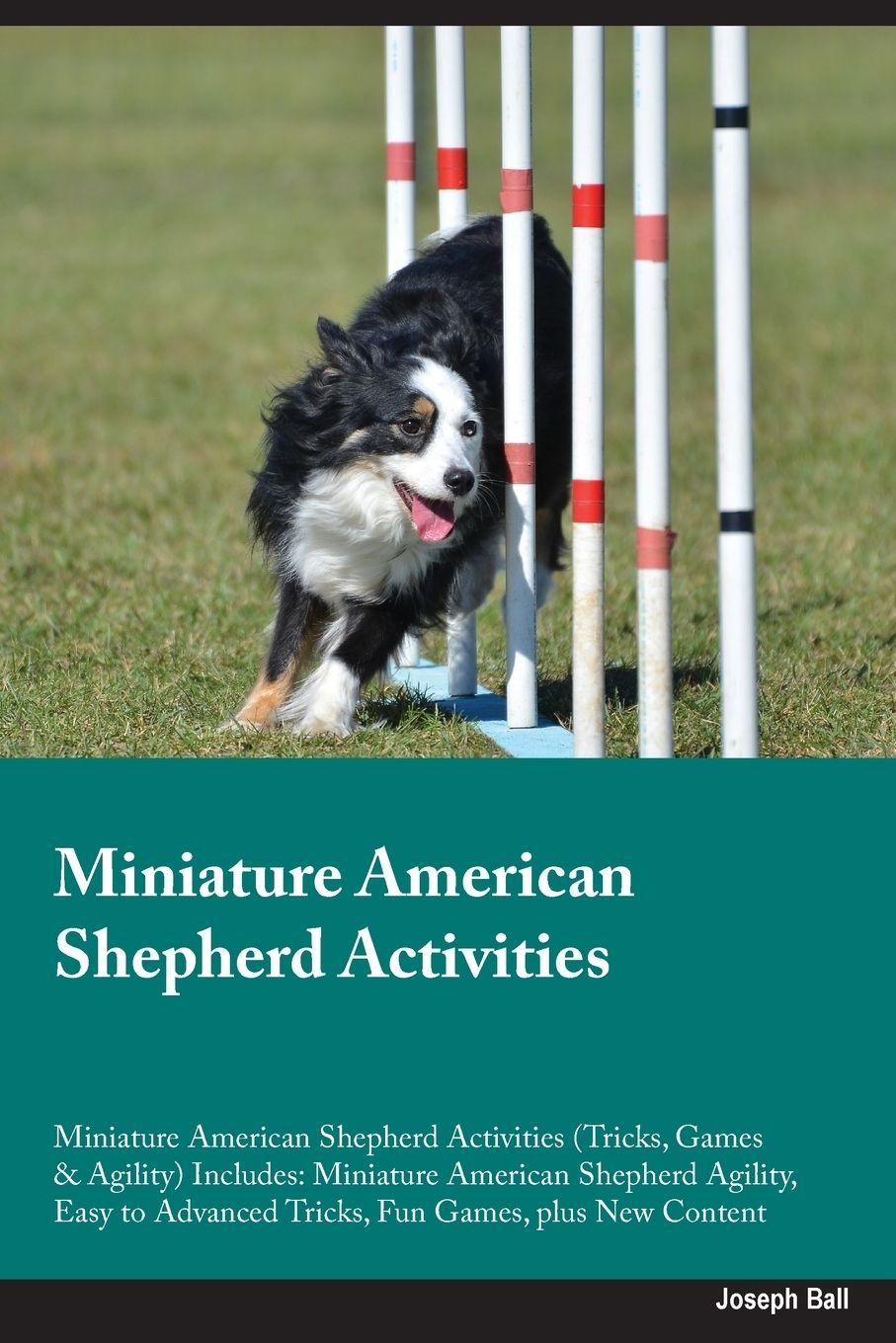 Vorderes Coverbild Miniature American Shepherd Activities Miniature American Shepherd Activities (Tricks, Games & Agility) Includes
