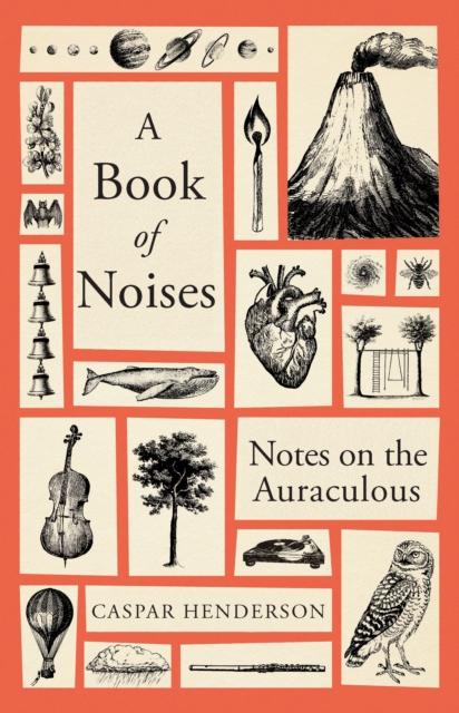 Vorderes Coverbild A Book of Noises