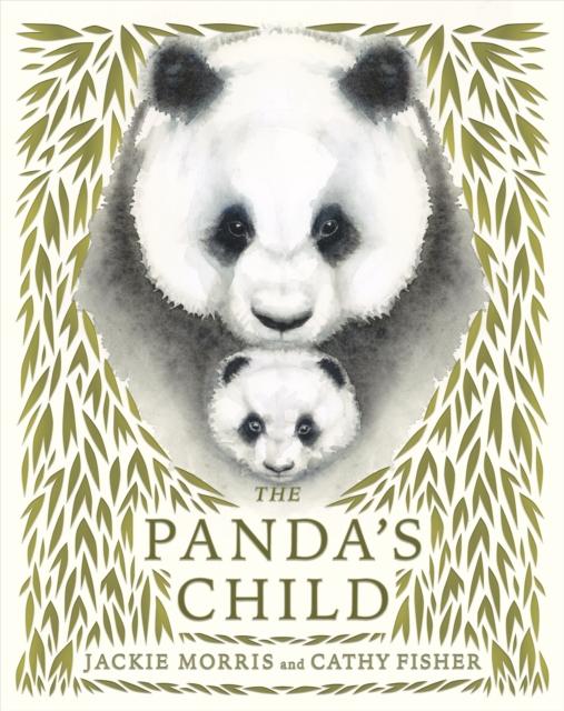 Vorderes Coverbild The Panda's Child