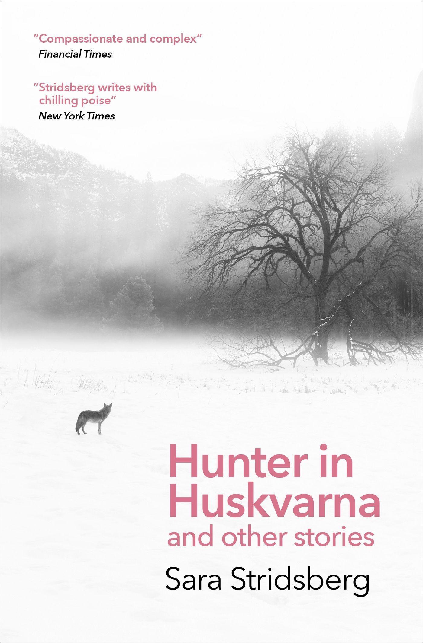 Vorderes Coverbild Hunter in Huskvarna