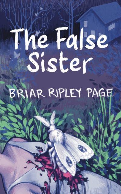 Vorderes Coverbild The False Sister