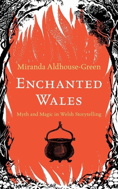 Vorderes Coverbild Enchanted Wales