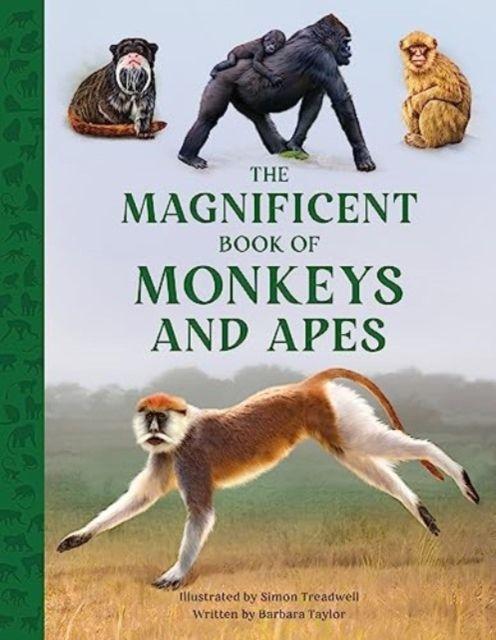 Vorderes Coverbild The Magnificent Book of Monkeys and Apes