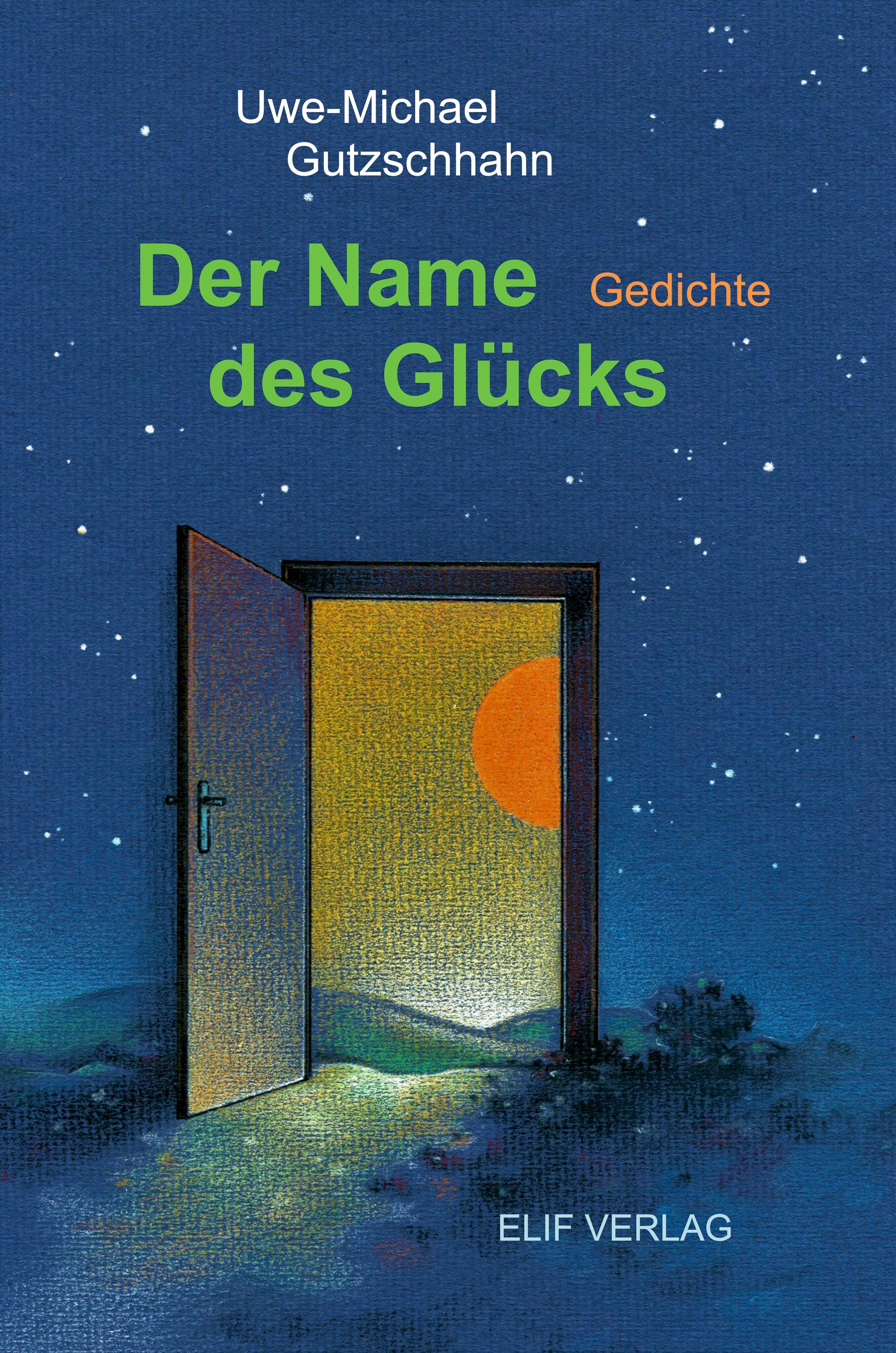 Vorderes Coverbild Der Name des Glücks