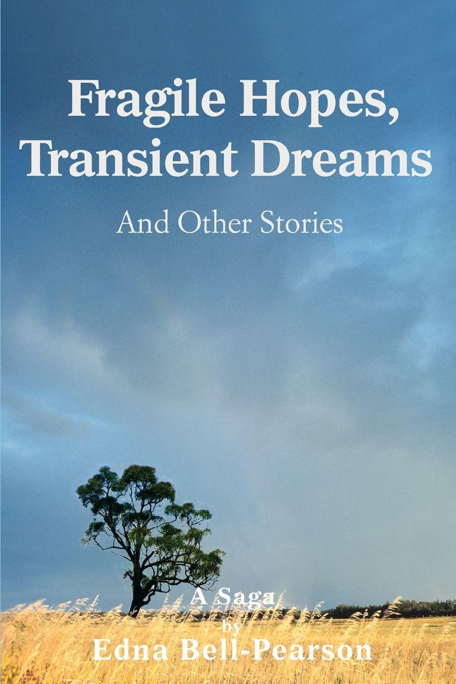 Vorderes Coverbild Fragile Hopes, Transient Dreams