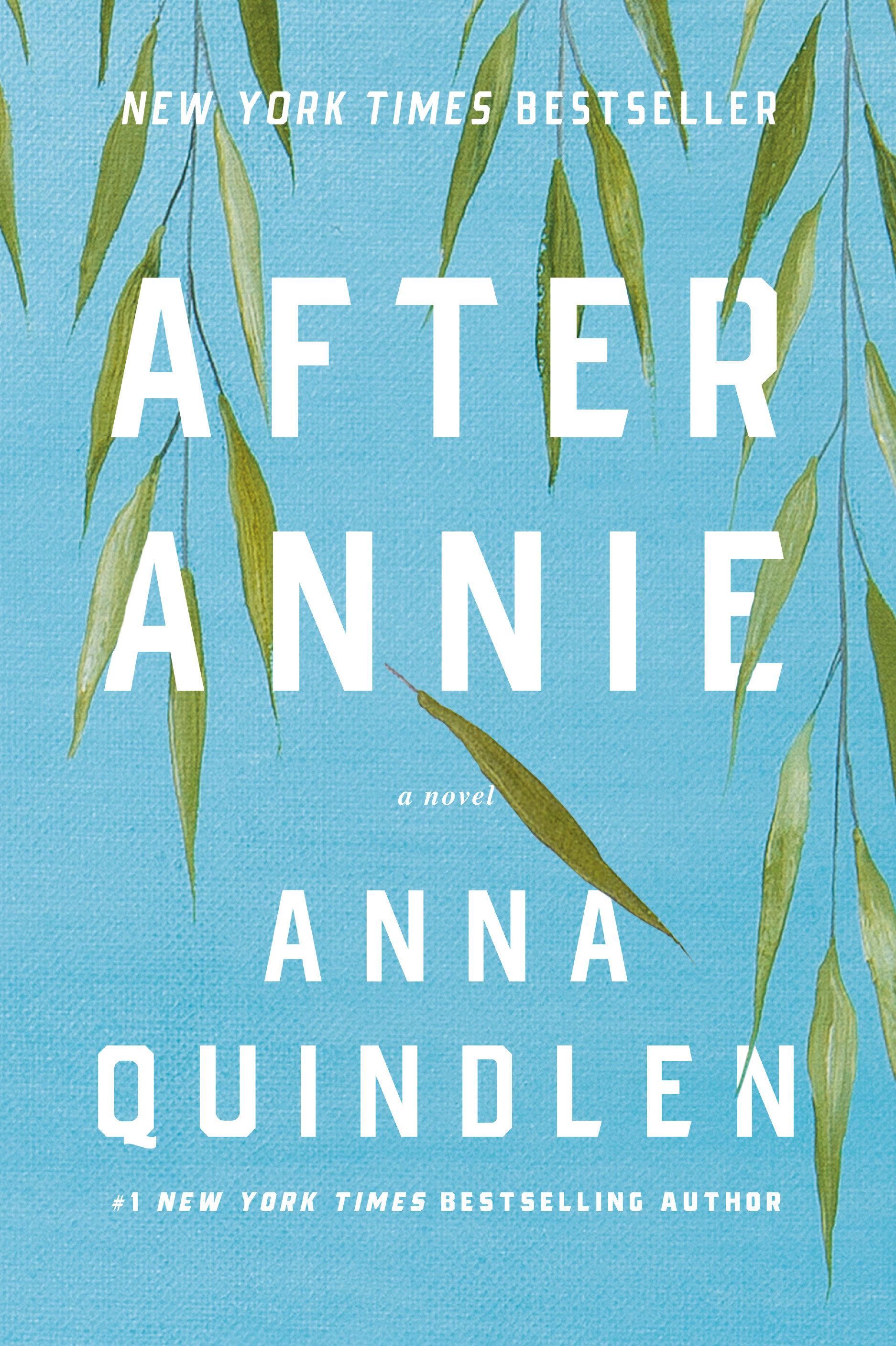 Vorderes Coverbild After Annie