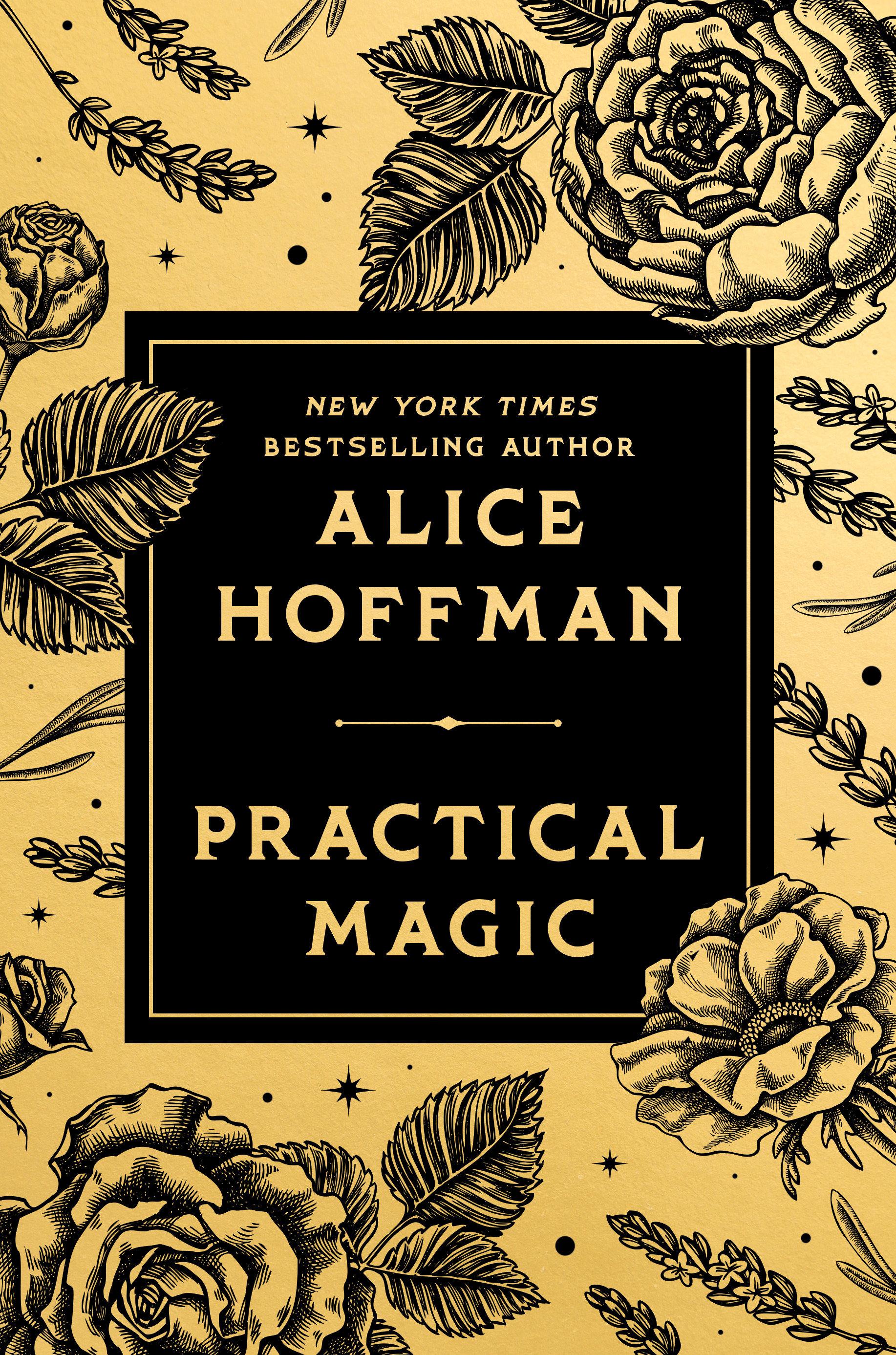 Vorderes Coverbild Practical Magic
